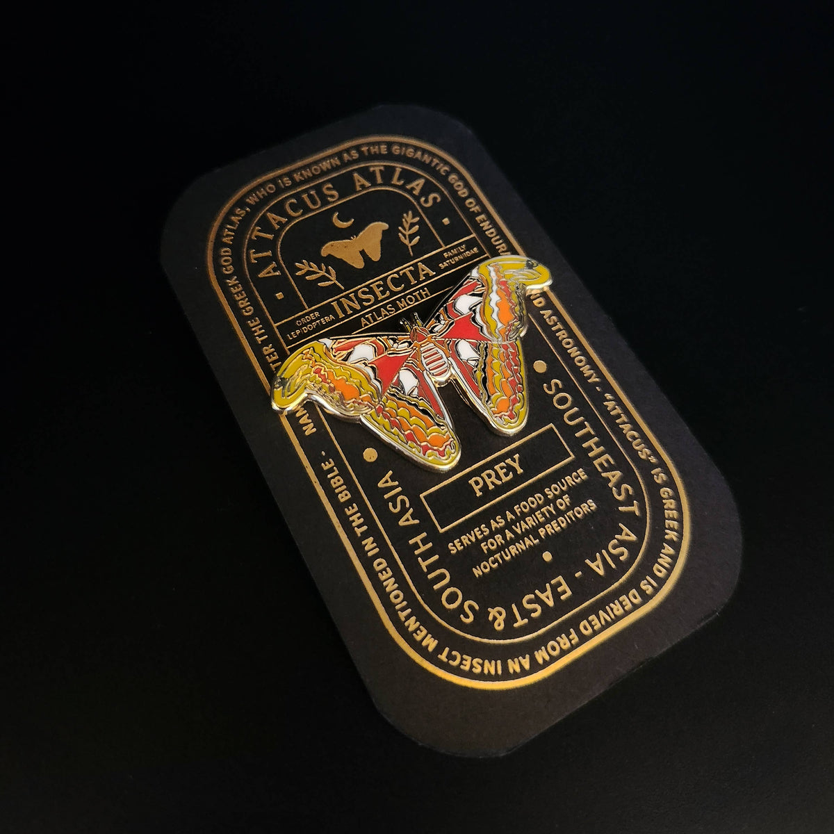 Atlas Moth Educational Insect Enamel Pin