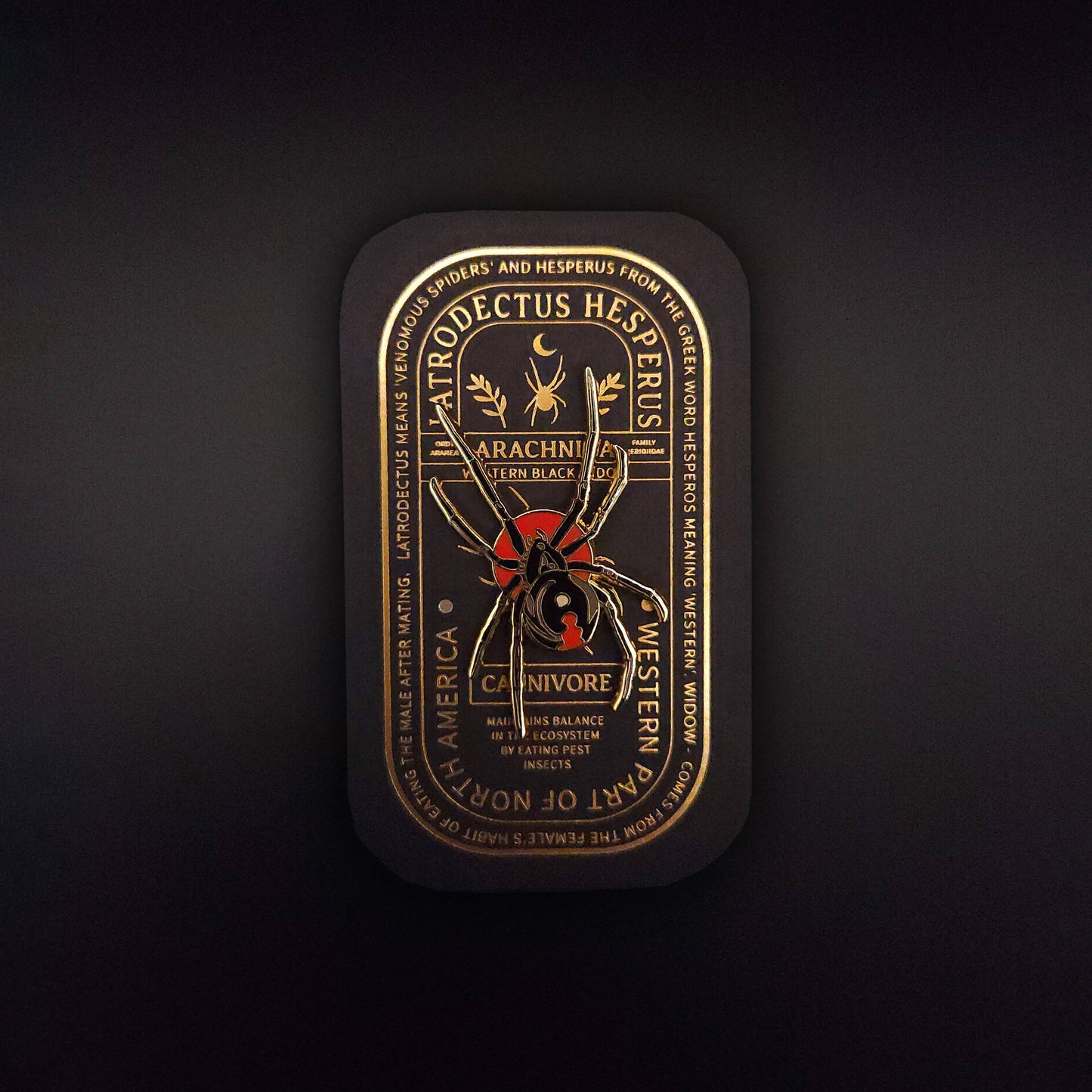 Western Black Widow Educational Arachnid Enamel Pin