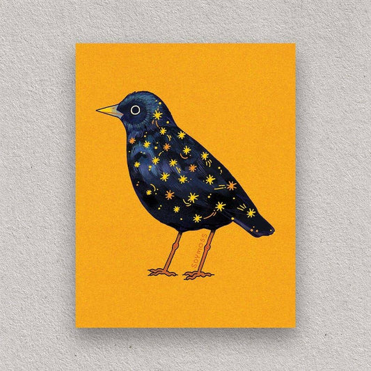 Starling Art Print