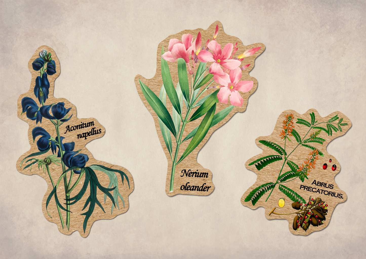 Poisonous Plants Sticker Sheet - Vintage Botany Mushroom