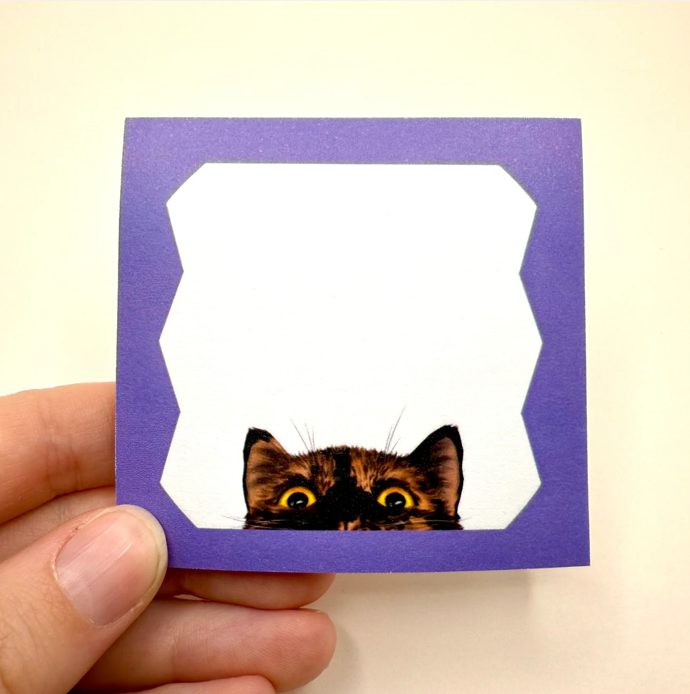 Peeking Cat Post-It Note (Tortie)