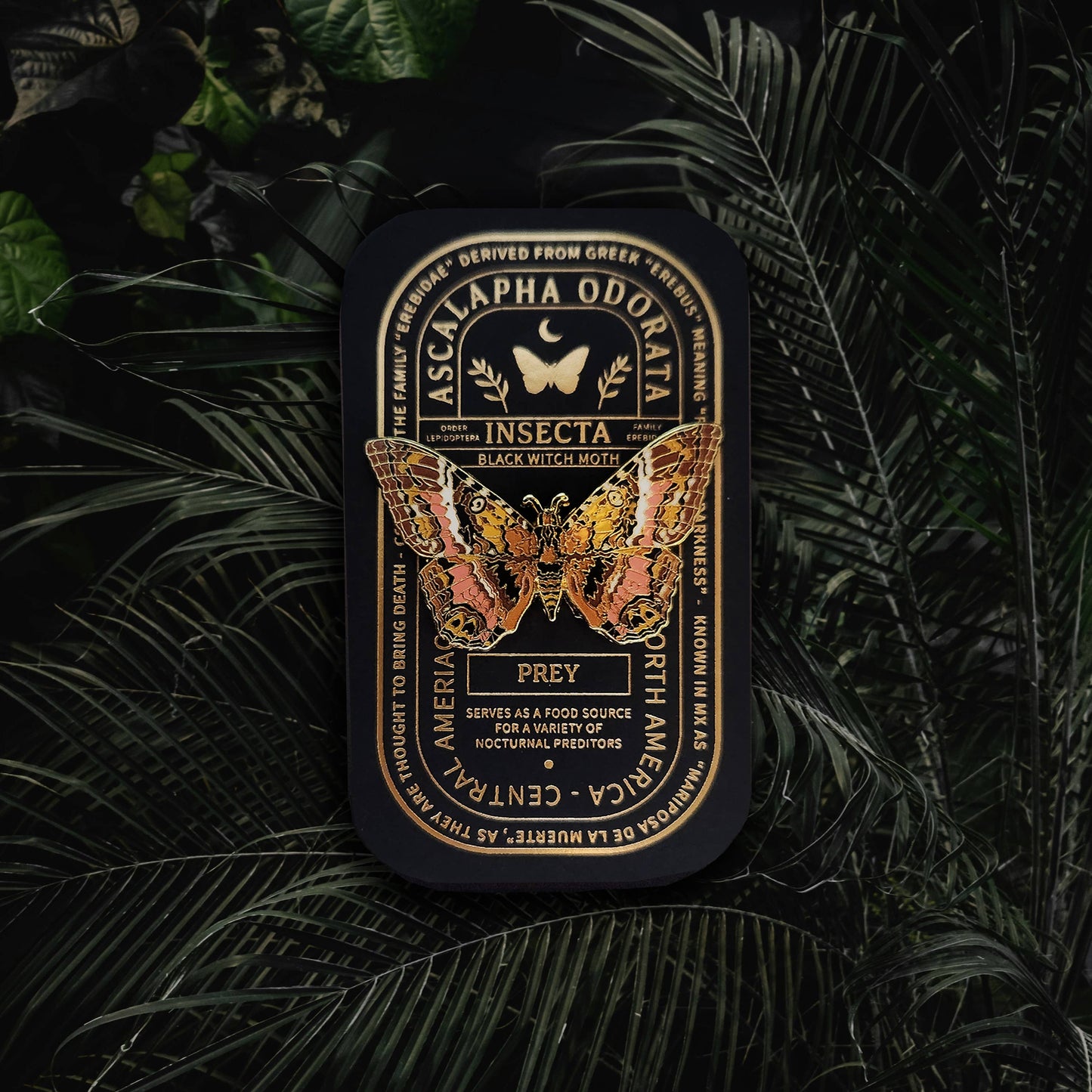 Black Witch Moth Educational Insect Enamel Pin