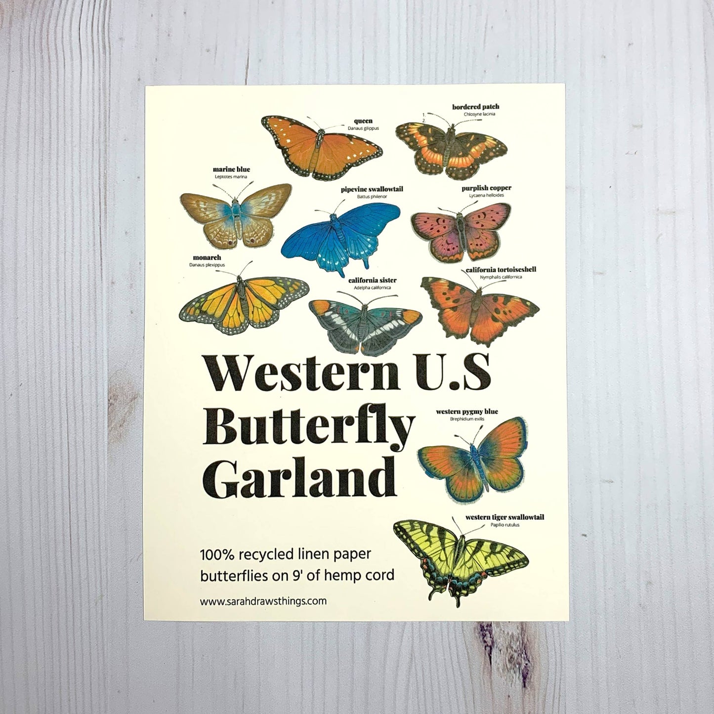 Western U.S. Native Butterfly Illustrated Garland