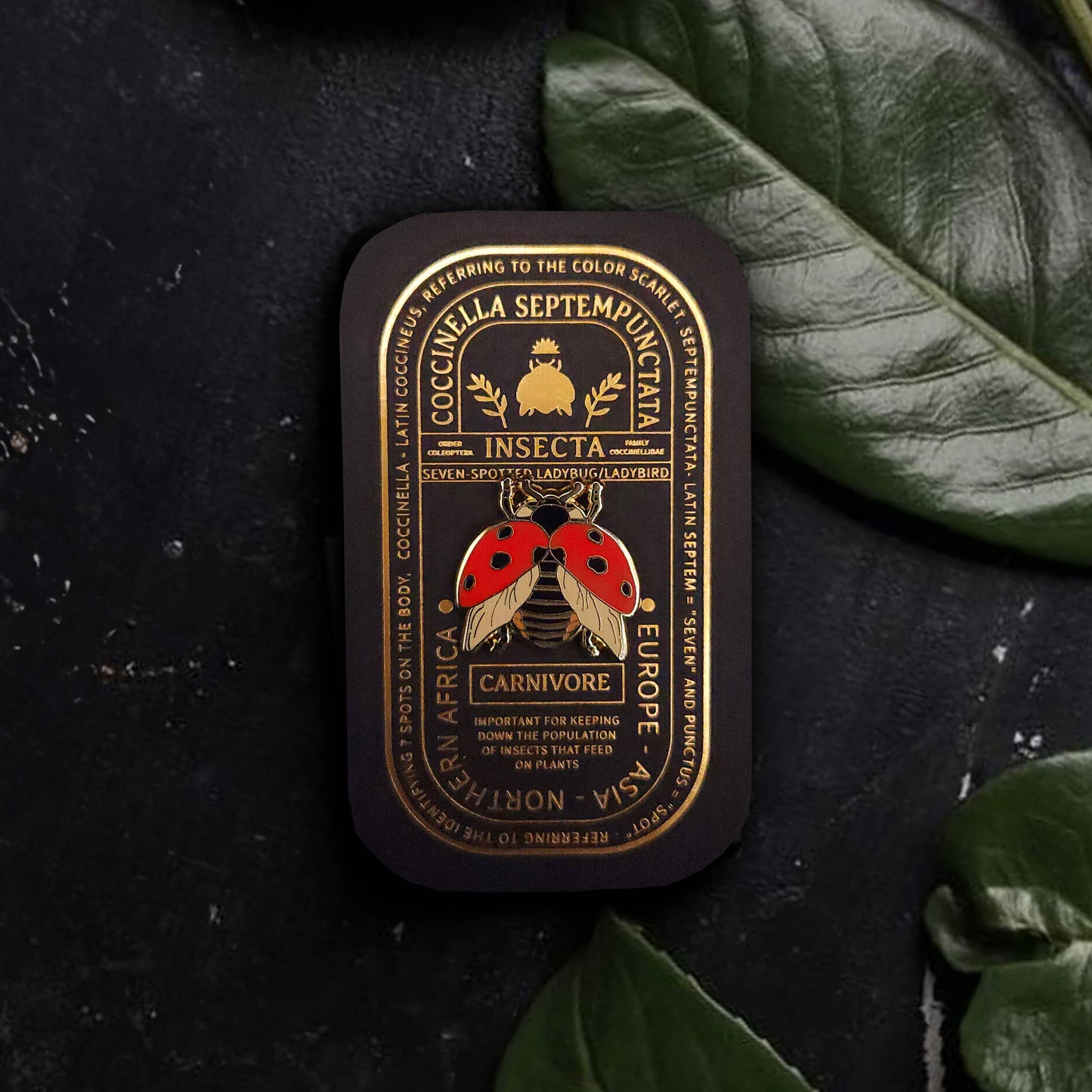 Seven-Spotted Ladybug Educational Insect Enamel Pin