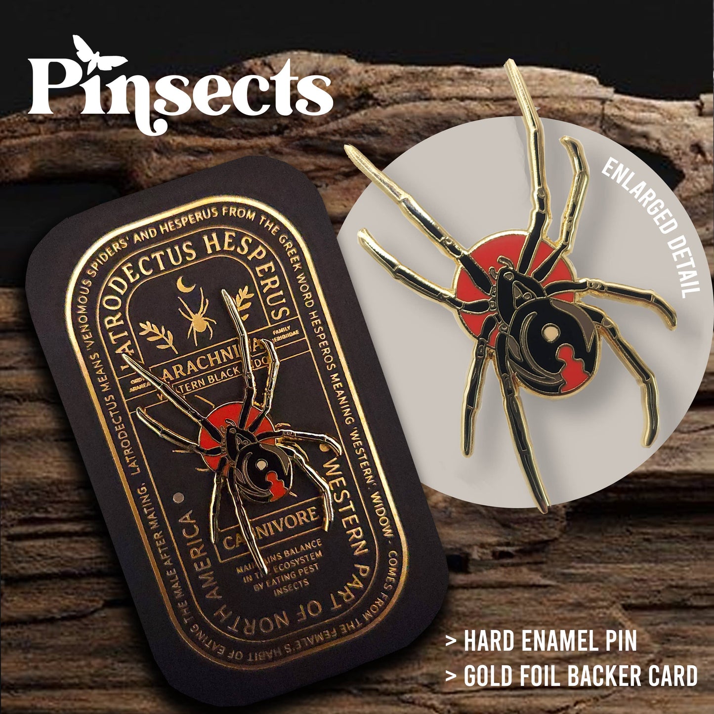 Western Black Widow Educational Arachnid Enamel Pin