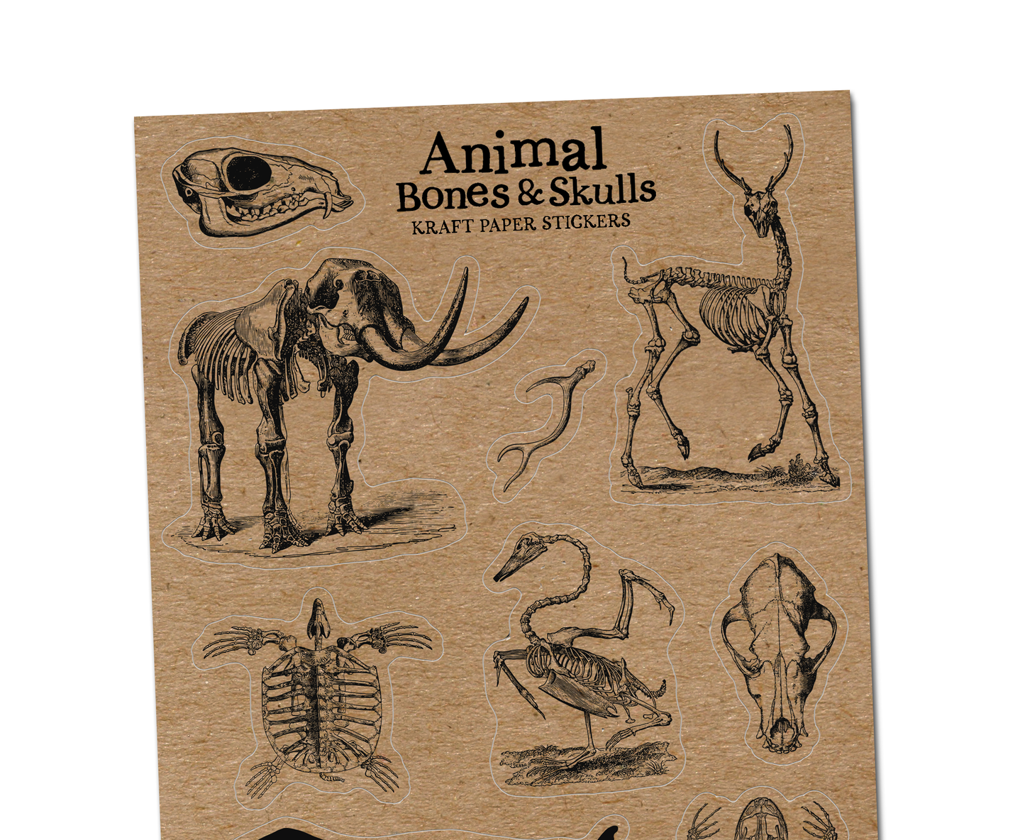 Animal Bones Kraft Paper Sticker Sheet