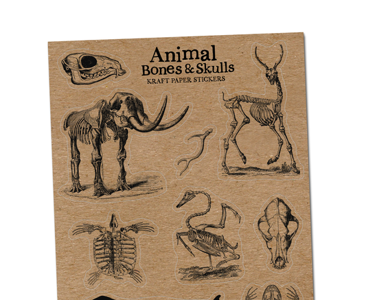 Animal Bones Kraft Paper Sticker Sheet