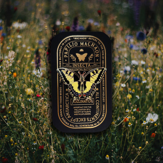 Swallowtail Butterfly Educational Insect Enamel Pin