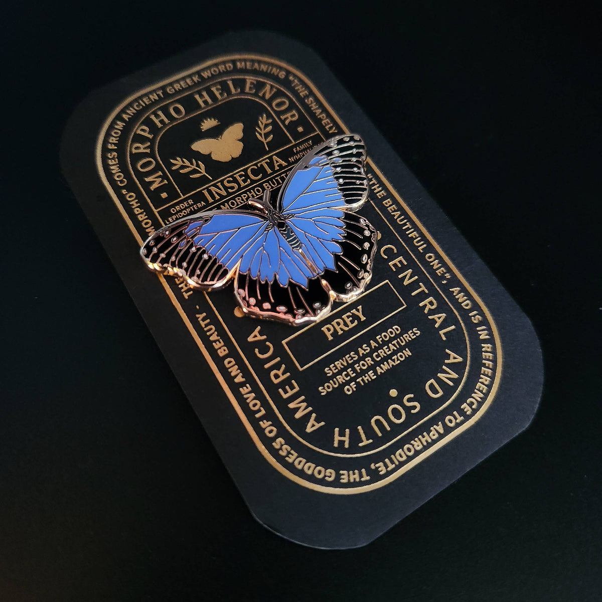 Blue Morpho Butterfly Educational Insect Enamel Pin