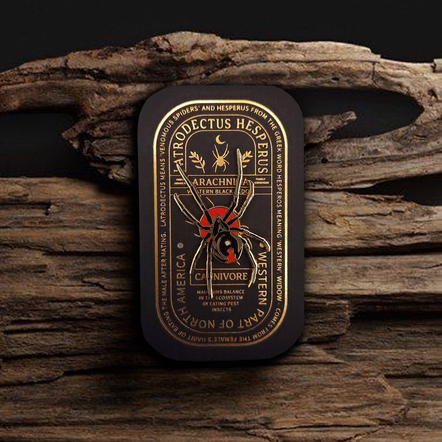 Western Black Widow Educational Arachnid Enamel Pin