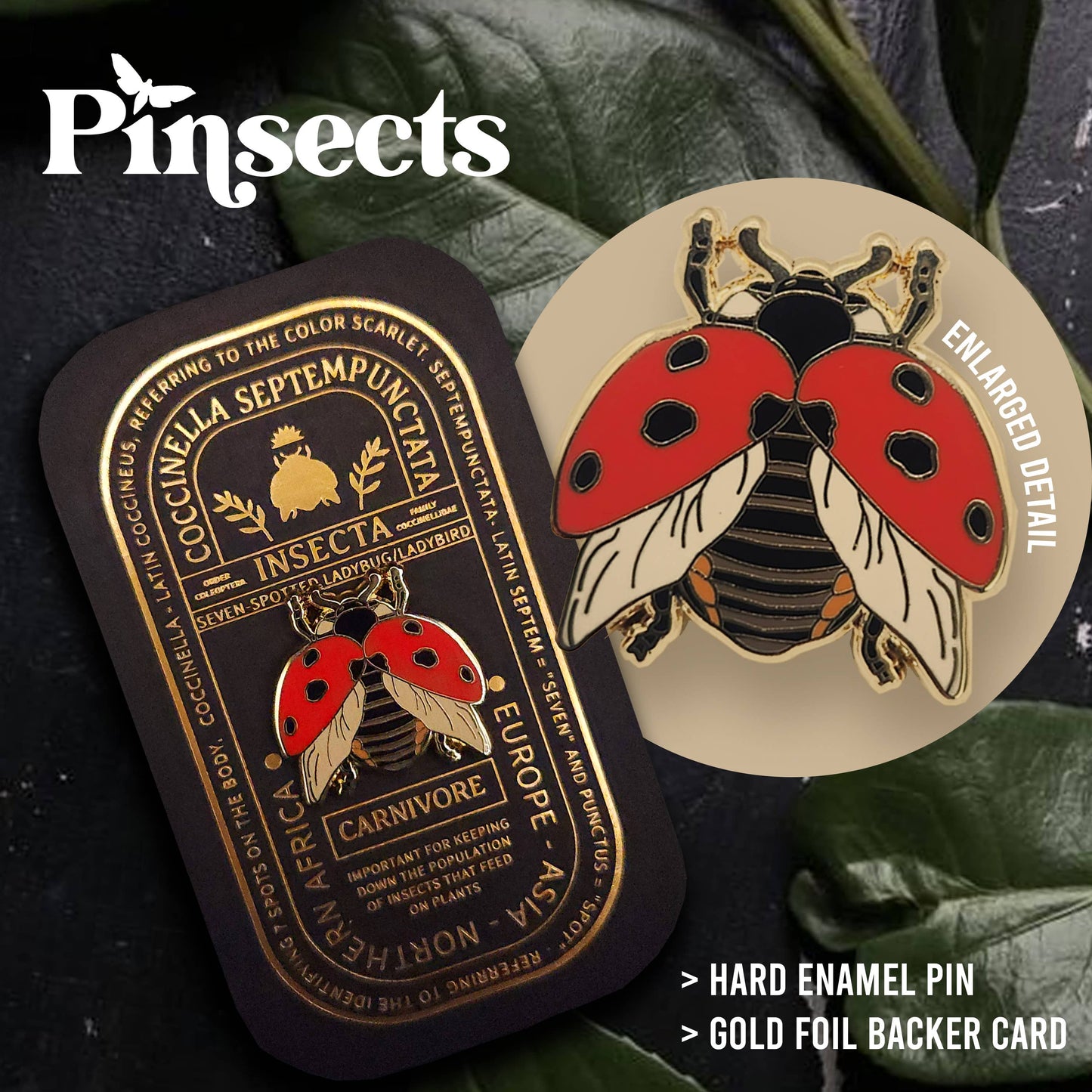 Seven-Spotted Ladybug Educational Insect Enamel Pin