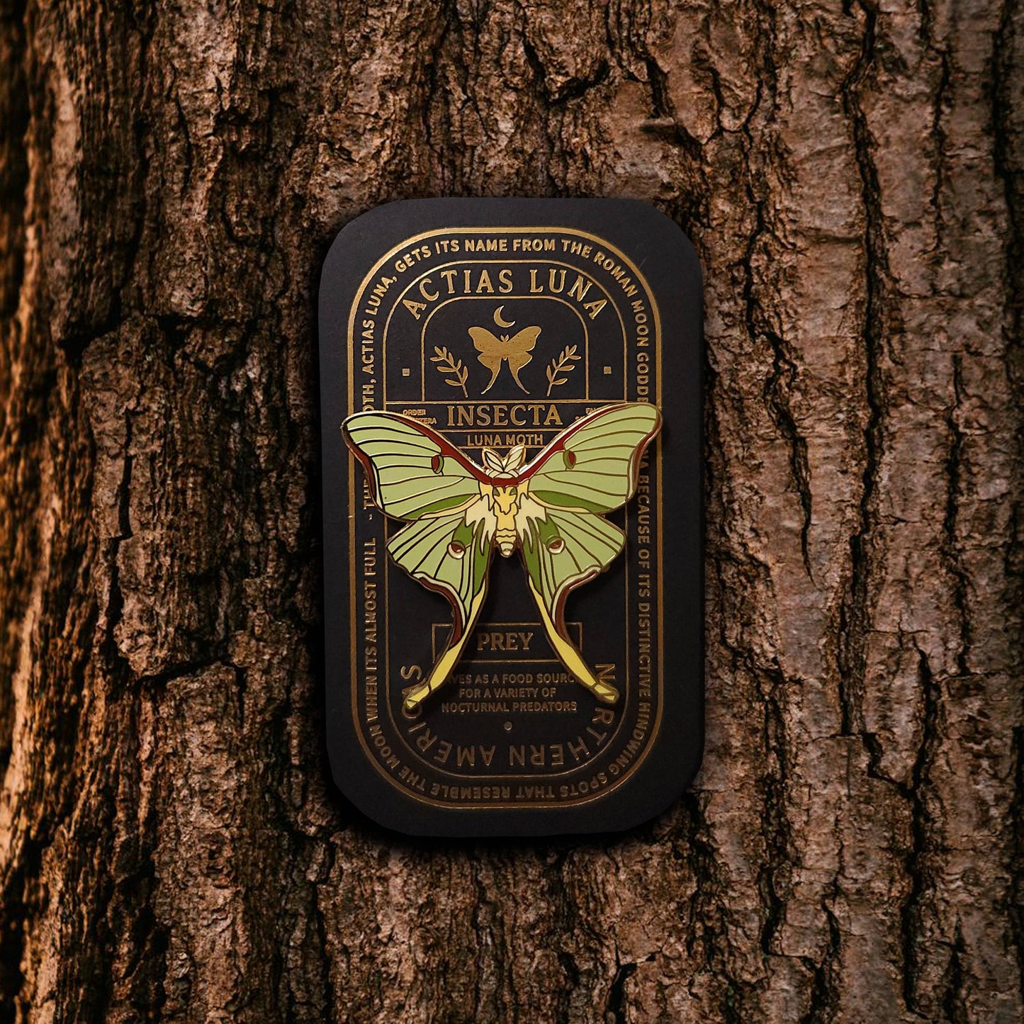 Luna Moth Educational Insect Enamel Pin