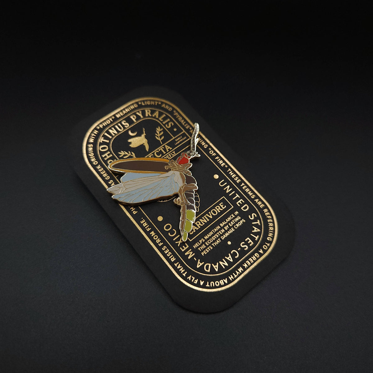 Eastern Firefly Educational Insect Enamel Pin