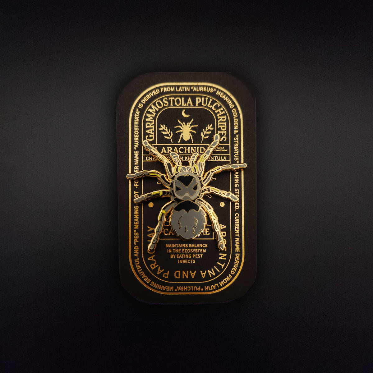 Chaco Golden Knee Tarantula Educational Insect Enamel Pin