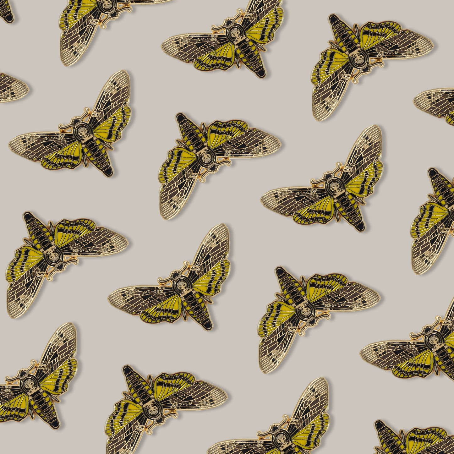 African Deaths Head Hawkmoth Educational Insect Enamel Pin