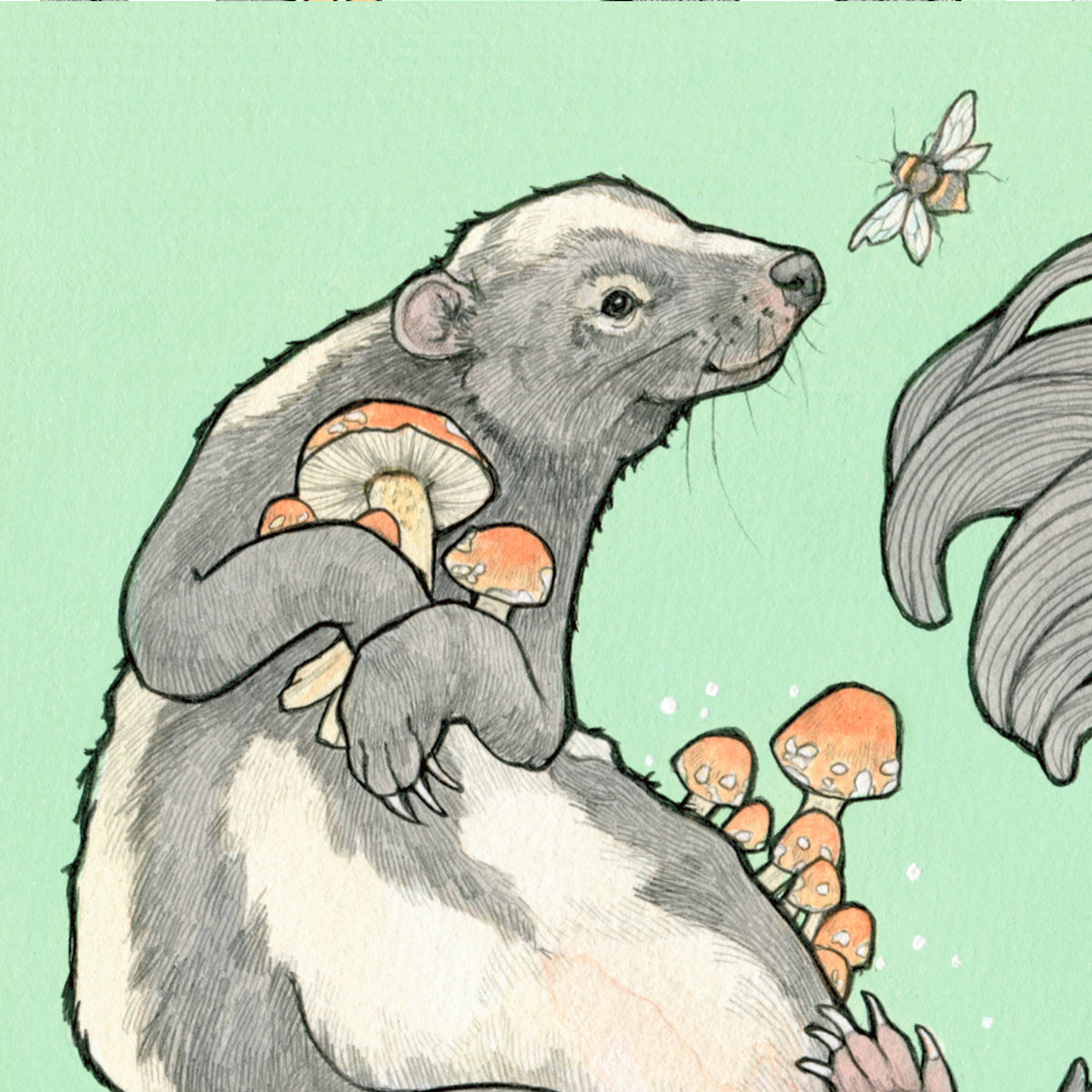 Forager - skunk and mushroom - 8x8 " Archival Print